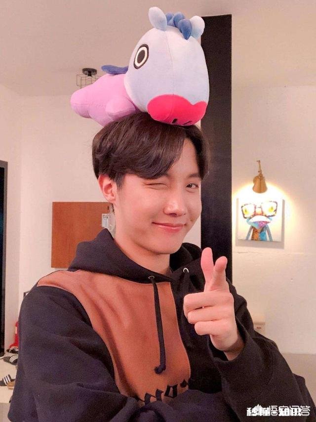 防弹少年团哪位成员是你本命为什么