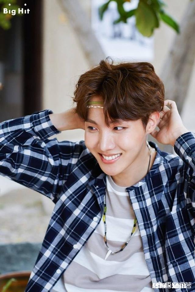 防弹少年团哪位成员是你本命为什么