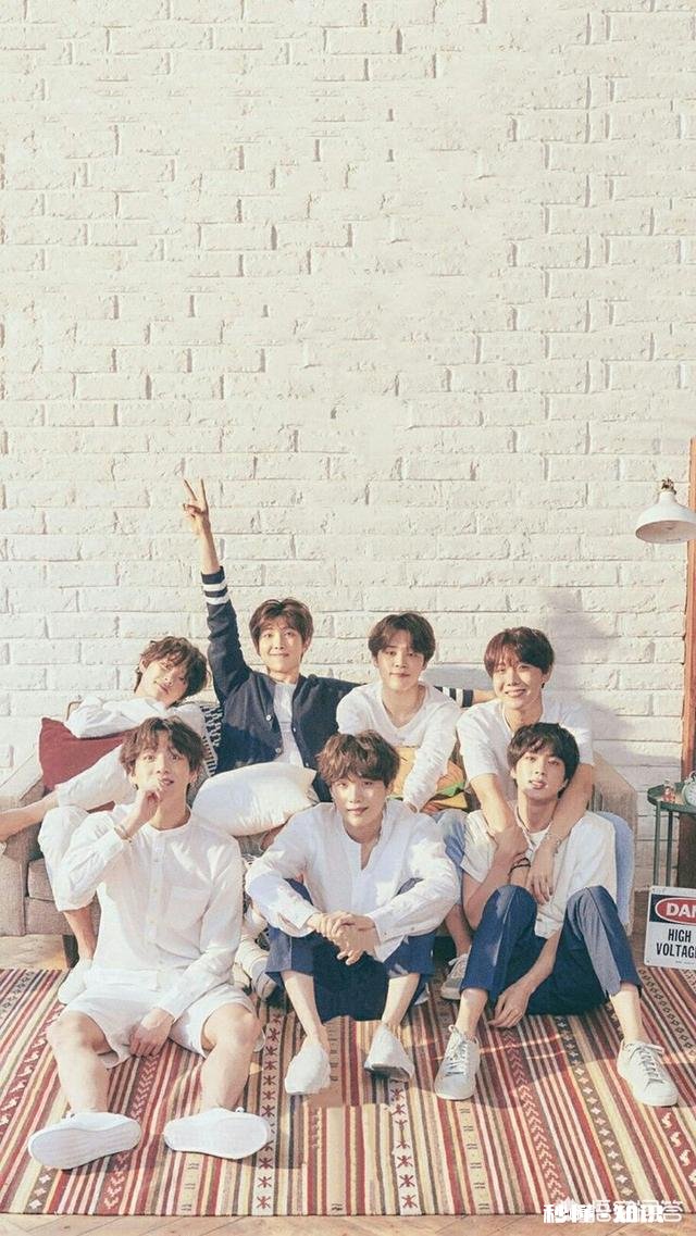 防弹少年团哪位成员是你本命为什么