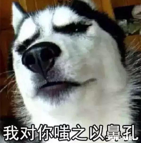 为什么喜欢bigbang的人那么有优越感