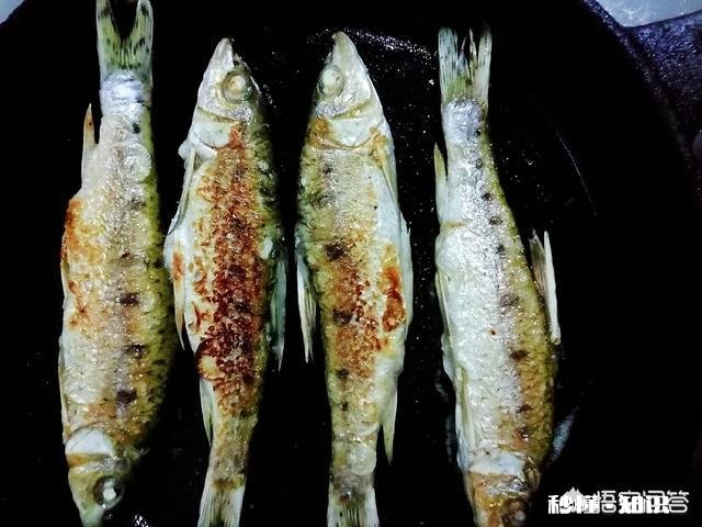 做鱼不腥、煎鱼不散的绝招有哪些