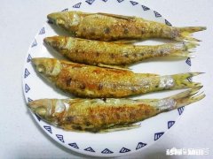 做鱼不腥、煎鱼不散的绝招有哪些
