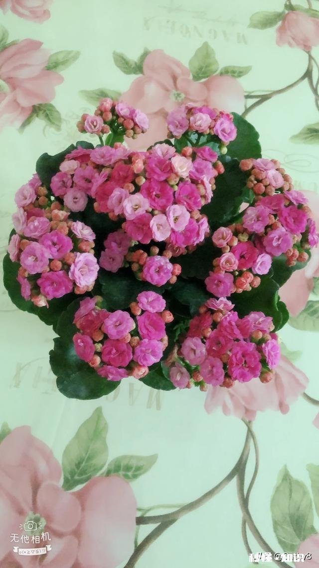 你会努力过好每一天吗