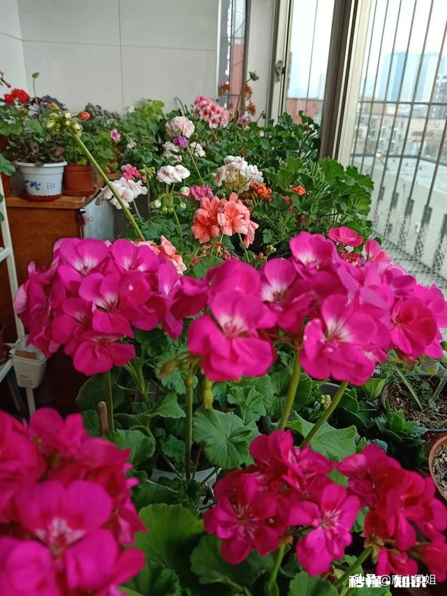 你会努力过好每一天吗