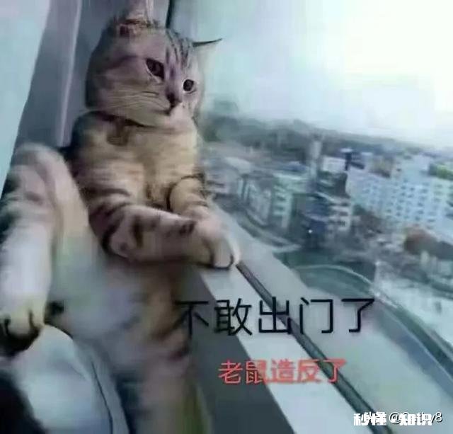 你会努力过好每一天吗