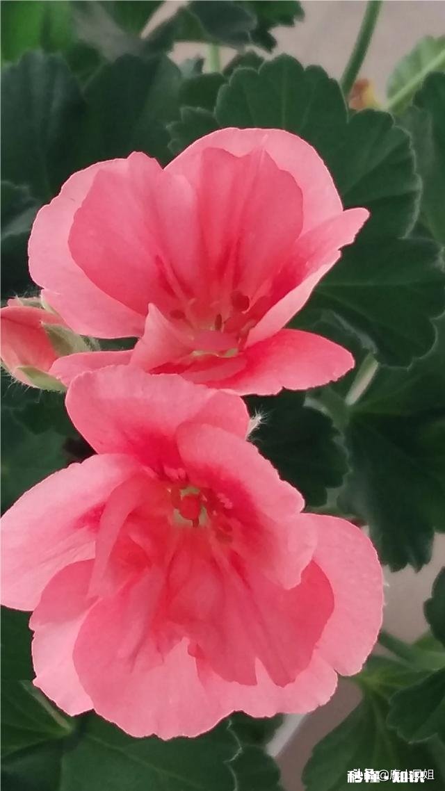 你会努力过好每一天吗