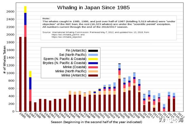日本累计捕杀了多少鲸鱼