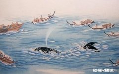 日本累计捕杀了多少鲸鱼