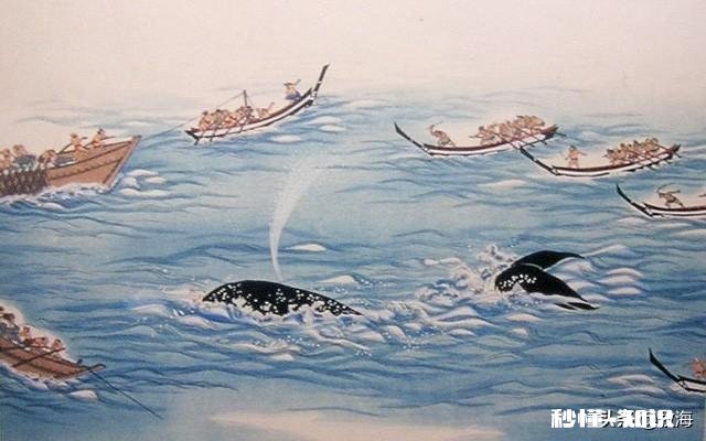 日本累计捕杀了多少鲸鱼