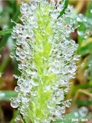 老婆频繁提离婚，这婚姻还要继续吗目前育有一女，而且想生二胎可她就是不愿意