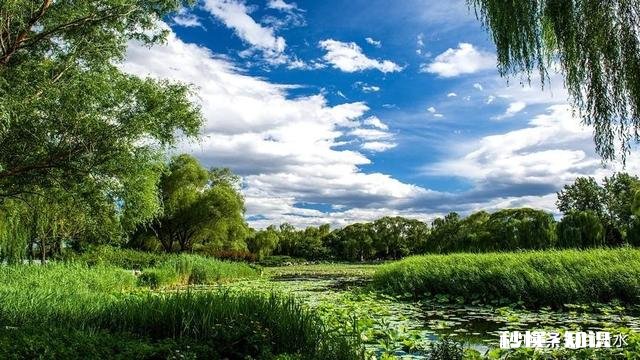 如何在情绪几近崩溃时悬崖勒马