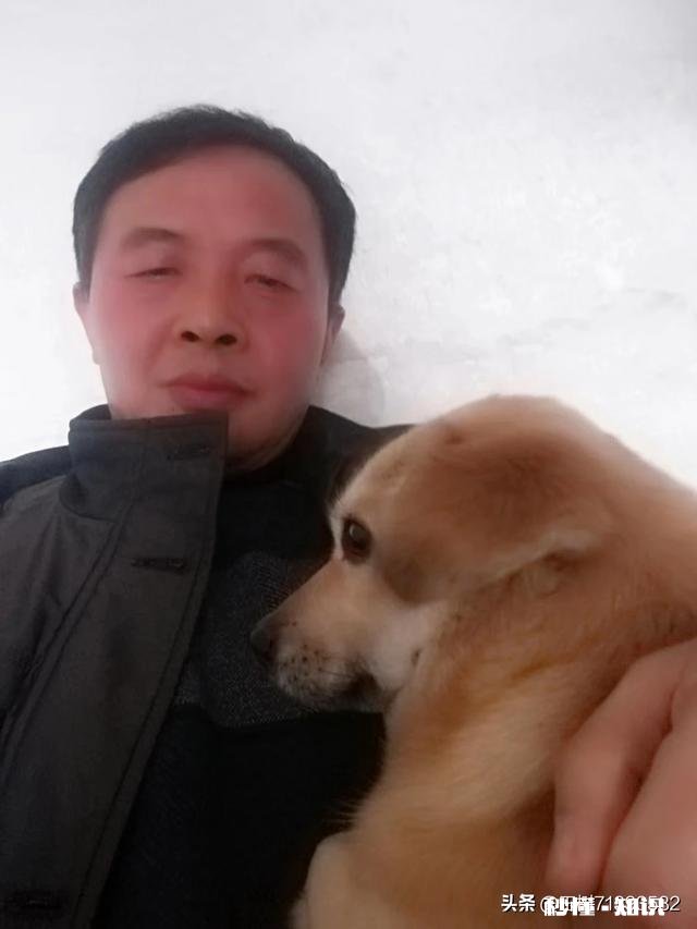 如果白给你一只狗狗，你会选择哪种狗狗为什么