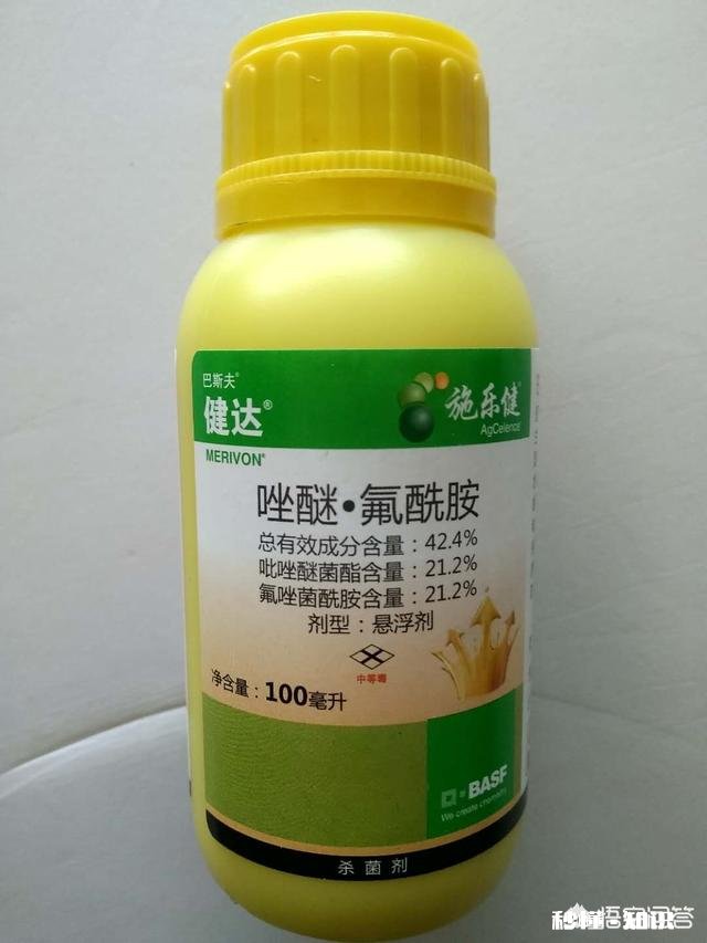 如何同时防治炭疽病、白粉病、腐烂病、黑点病等病害