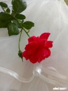 衣服上沾染了顽固污渍怎么办该如何清洗