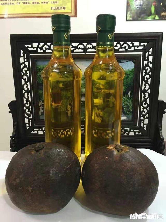 一款食用油是口味重要，还是营养成分更重要你是怎么理解的