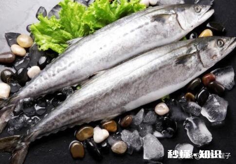 大鲅鱼需要去皮吗怎么做