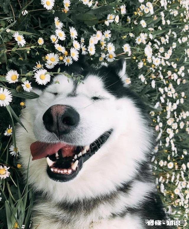 现在的大部分人的婚姻观,爱情观是不是扭曲了