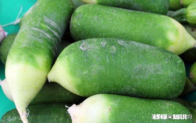 冬吃萝卜夏吃姜适合南方人吗