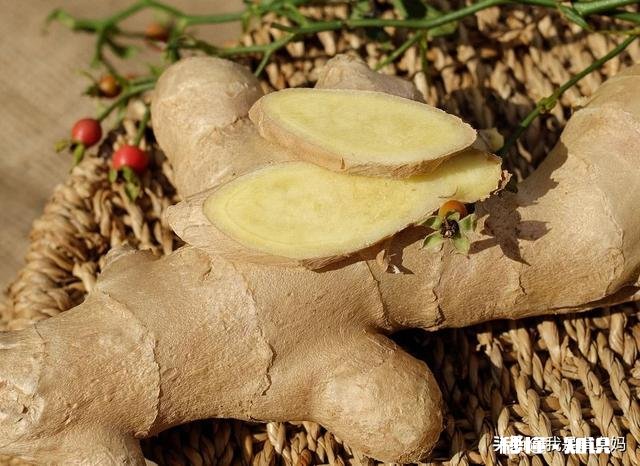 冬吃萝卜夏吃姜适合南方人吗