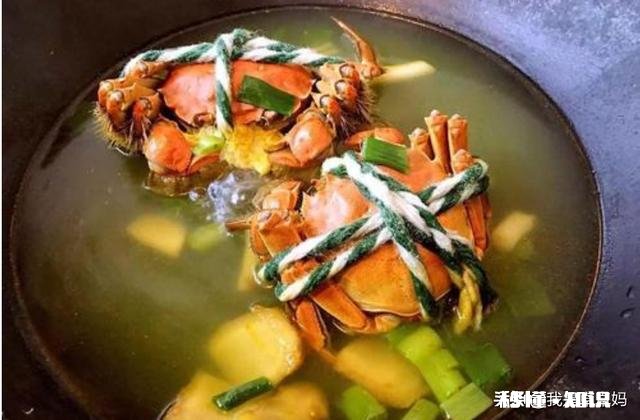 冬吃萝卜夏吃姜适合南方人吗