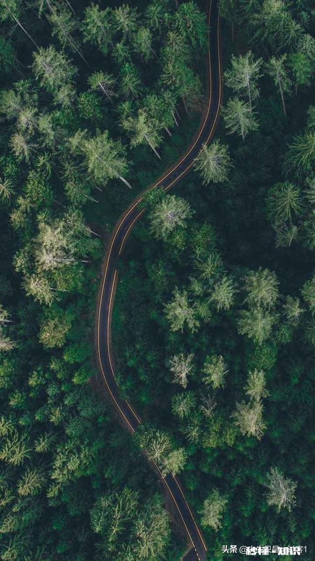 发工资时老板应该跟员工说什么比较好