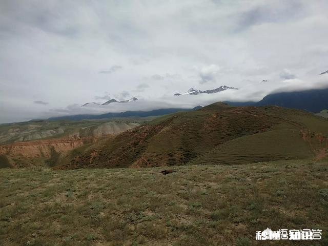 哪些零食是你一直吃不够的