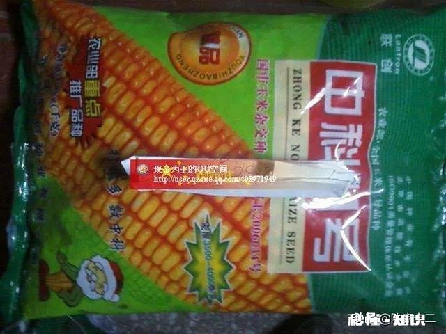 中地159适合黄淮地区种植吗