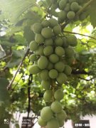 你是否在年轻的时候说错过一些话而一直耿耿于怀