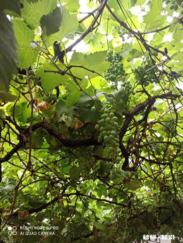 你是否在年轻的时候说错过一些话而一直耿耿于怀