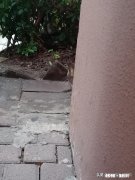 如果你讨厌一个人，但是你又打不过他，怎么办