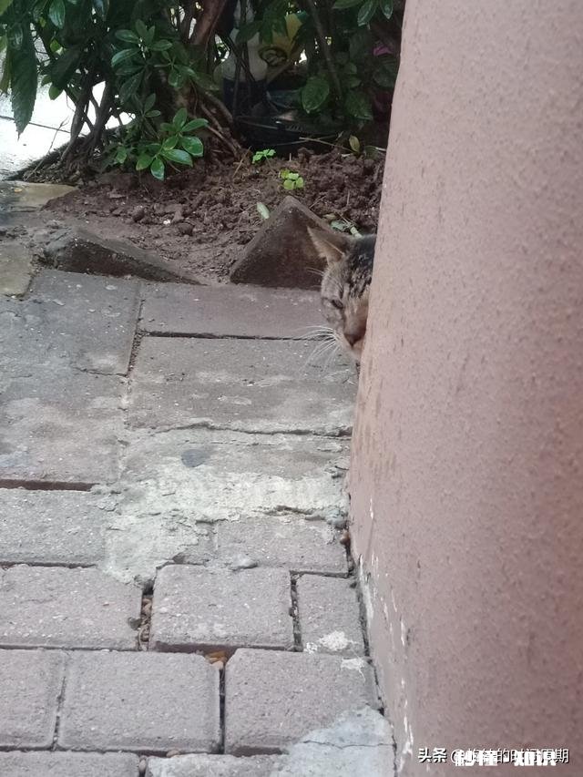 如果你讨厌一个人，但是你又打不过他，怎么办