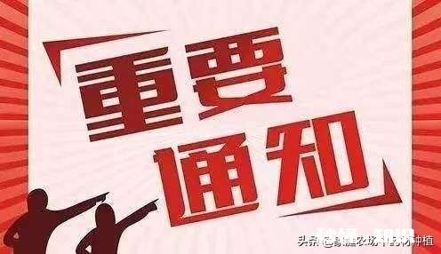 40多岁的普通农民不会英文，没有什么特殊技能，怎么能去美国打工