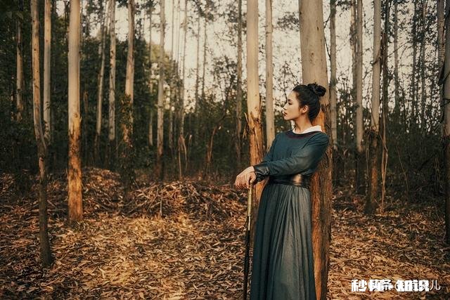 古代大侠那么厉害怎么打不过朝廷