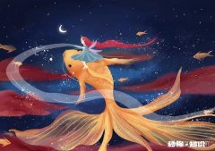 疫情期间服装店有什么损失