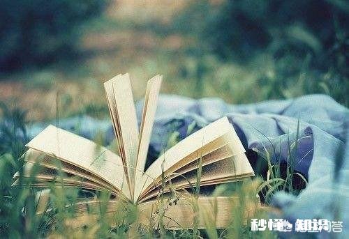 你会每天坚持看书嘛