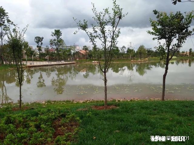 生活，怎样变好