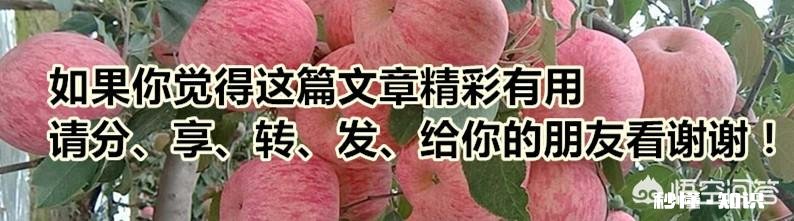 你老家现在还会做红薯粉丝吗