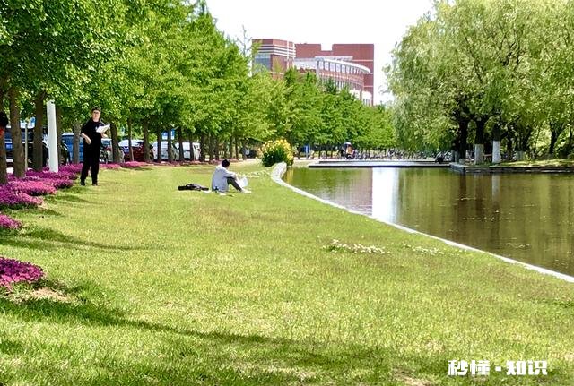 敢不敢拍一下你身边的美景图片