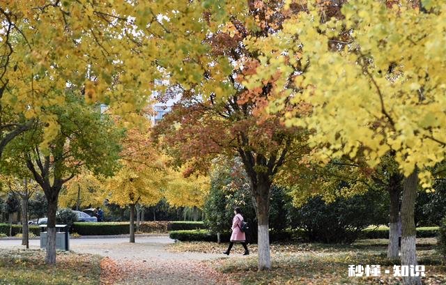 敢不敢拍一下你身边的美景图片