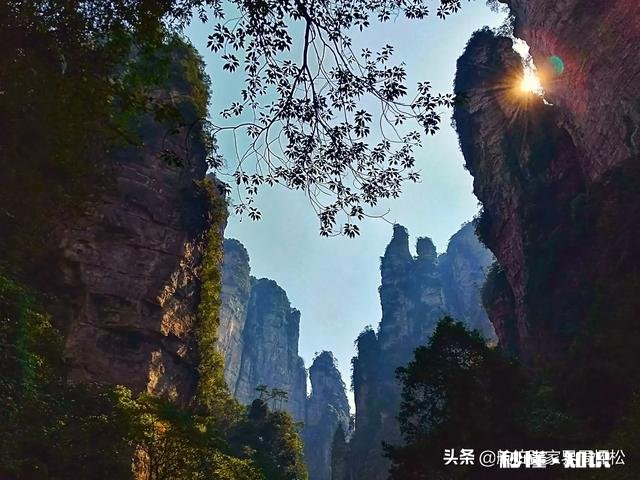 敢不敢拍一下你身边的美景图片