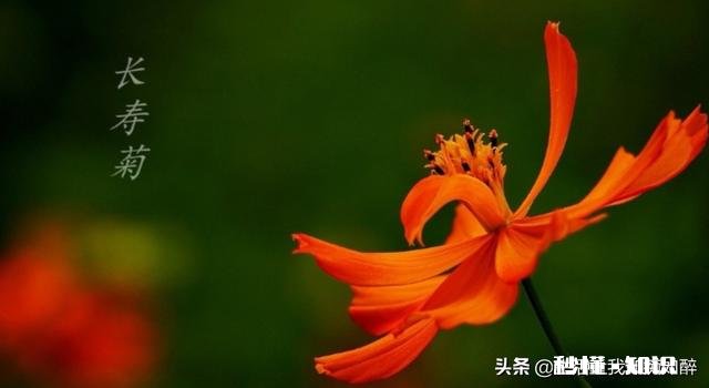 人的一生，生活状态多亢奋和多宁静状态，哪种人生更长寿