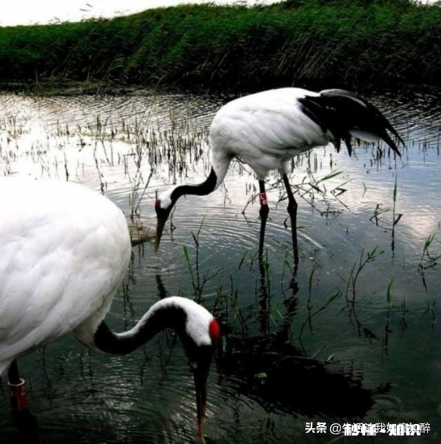 人的一生，生活状态多亢奋和多宁静状态，哪种人生更长寿