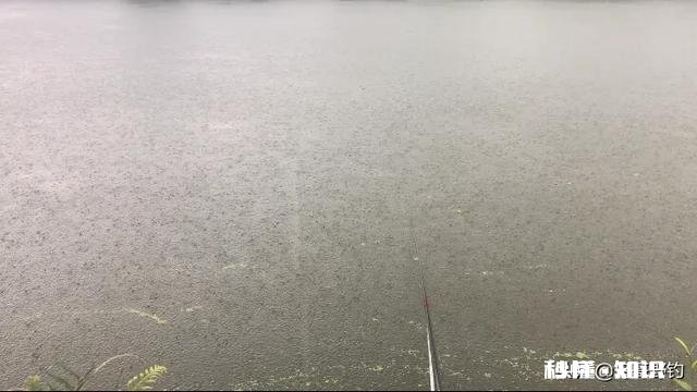 钓鱼窝里有很多鱼，为什么就是不咬钩雨天，25度，有风