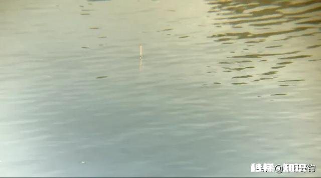 钓鱼窝里有很多鱼，为什么就是不咬钩雨天，25度，有风
