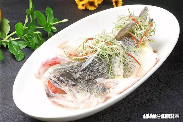 蒸锅可以做什么菜