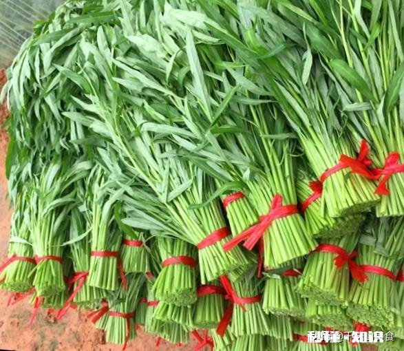 为什么做空心菜放了盐和油还会发黑