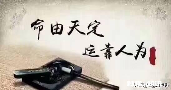 二婚后感觉二婚对象还不如前任，这时前任也来找你，该如何选择