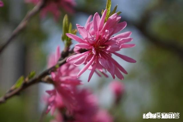 开发商卖房子要求必须和车位一起卖合法吗