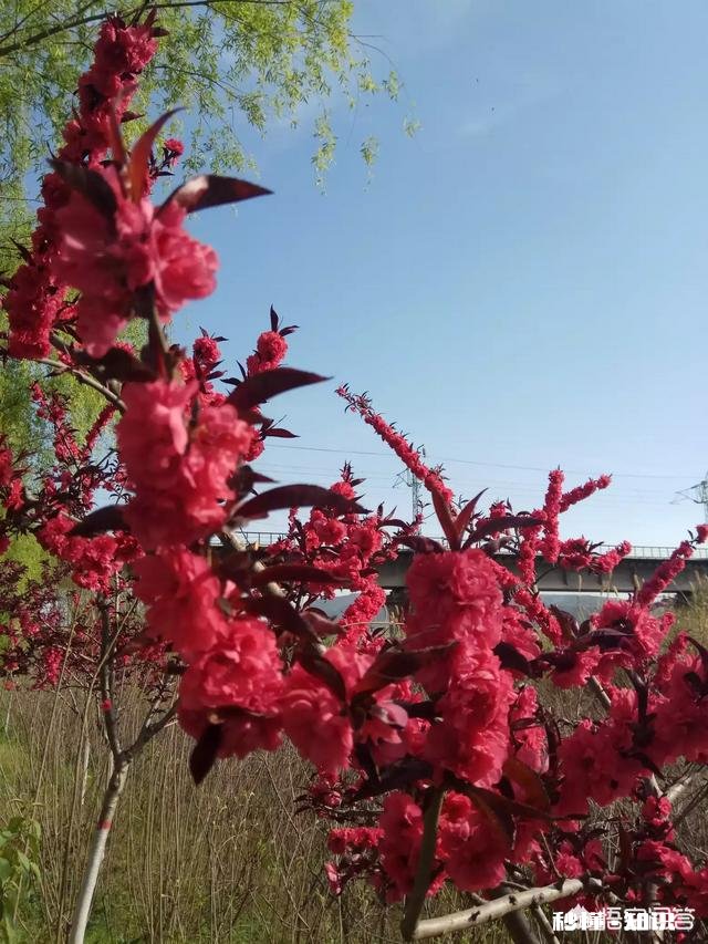 开发商卖房子要求必须和车位一起卖合法吗