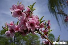 开发商卖房子要求必须和车位一起卖合法吗